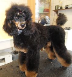 7mo 019
